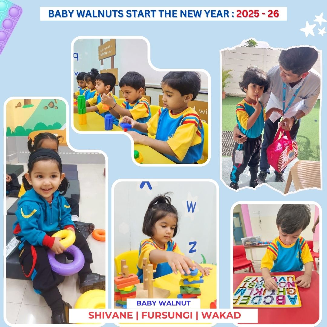 Baby Walnuts New Year