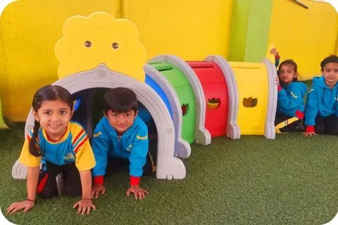 Walnut School programme