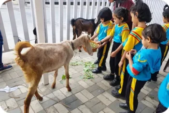 Alt text (KG Petting Day – goats) Walnut School kindergarten students feeding goats during an interactive Petting Day activity.
